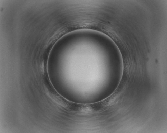 X0000070190262200606021104