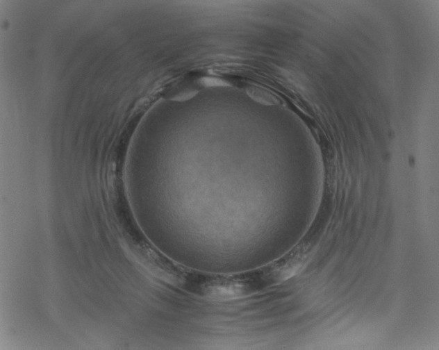 X0000070190263200606021105