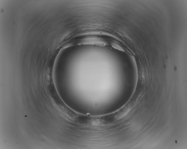 X0000070190264200606021105