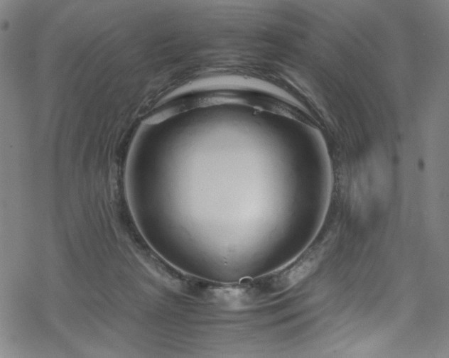 X0000070190265200606021105