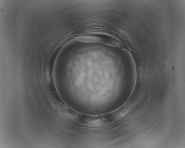 X0000070190267200606021105