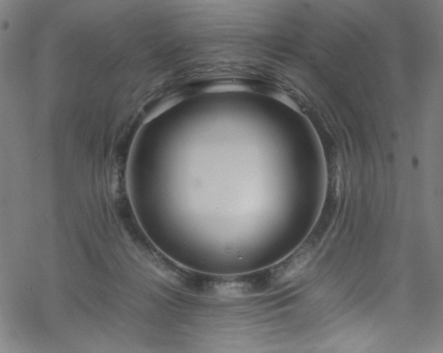 X0000070190268200606021105