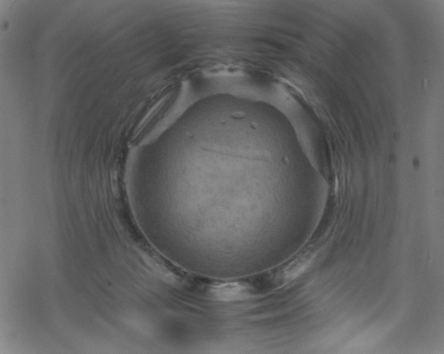 X0000070190269200606021105