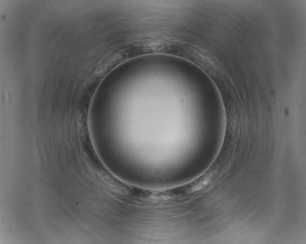 X0000070190270200606021105