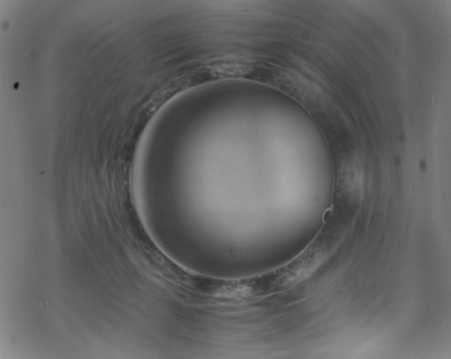 X0000070190271200606021105