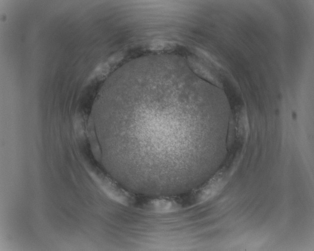 X0000070190272200606021105