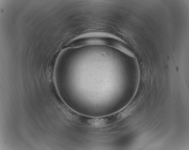 X0000070190273200606021105