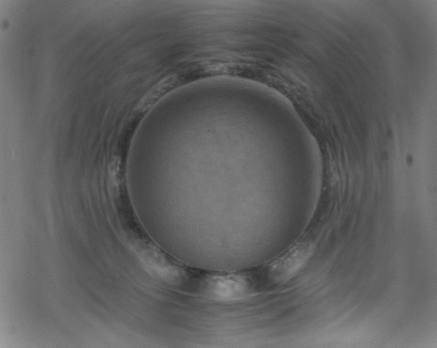 X0000070190275200606021105