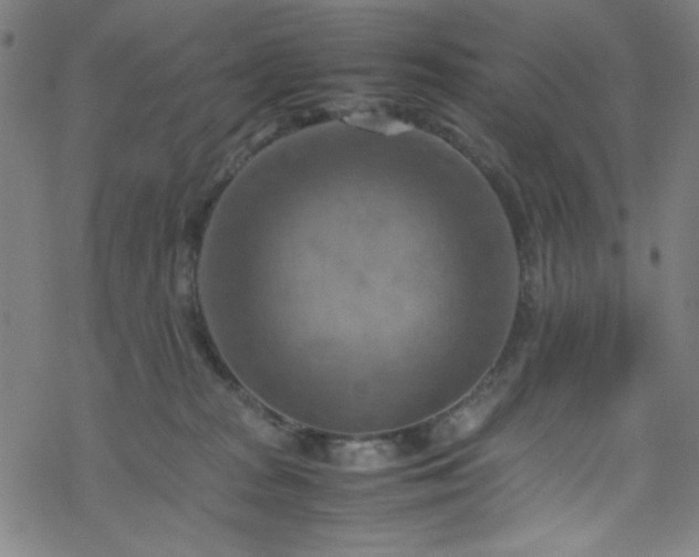 X0000070190277200606021105