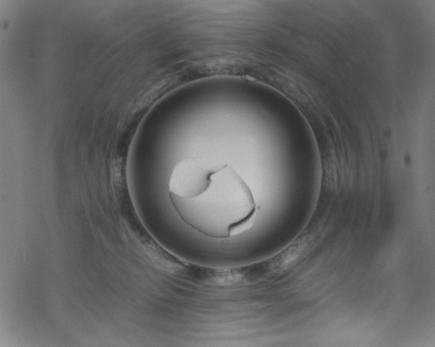 X0000070190278200606021105