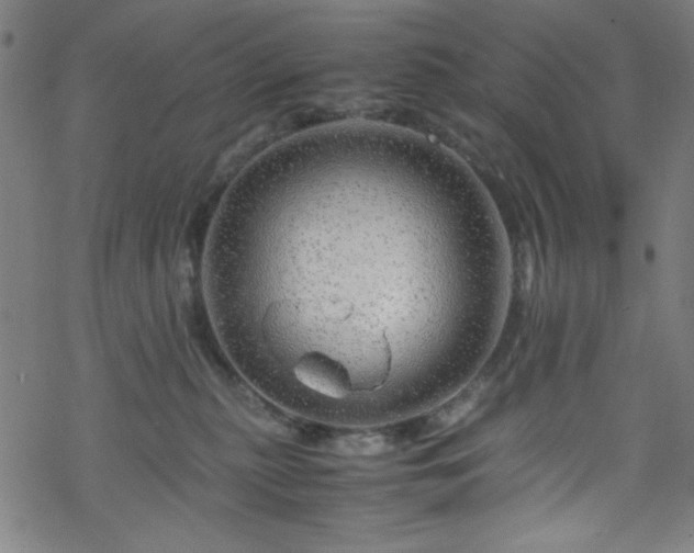 X0000070190279200606021105