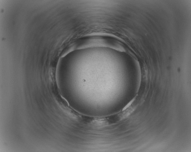 X0000070190280200606021105