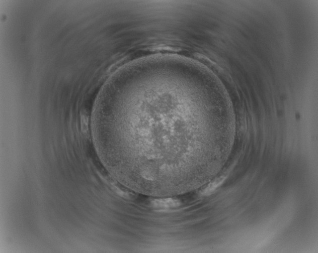 X0000070190281200606021105