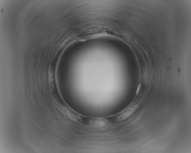 X0000070190282200606021105