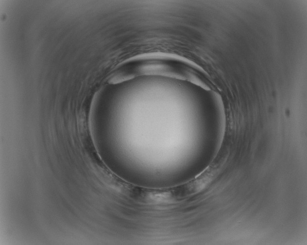 X0000070190283200606021105