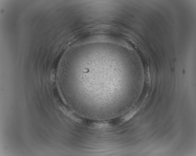 X0000070190284200606021105