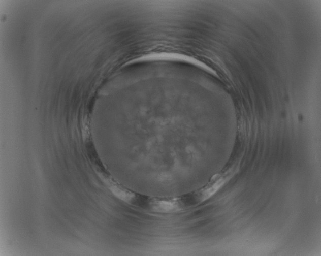 X0000070190285200606021105