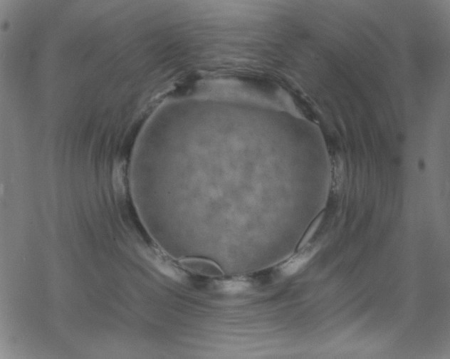 X0000070190286200606021105