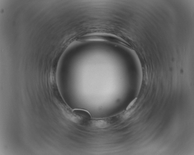 X0000070190287200606021105