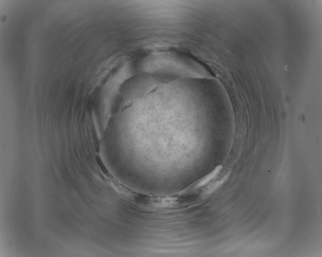 X0000070190288200606021105