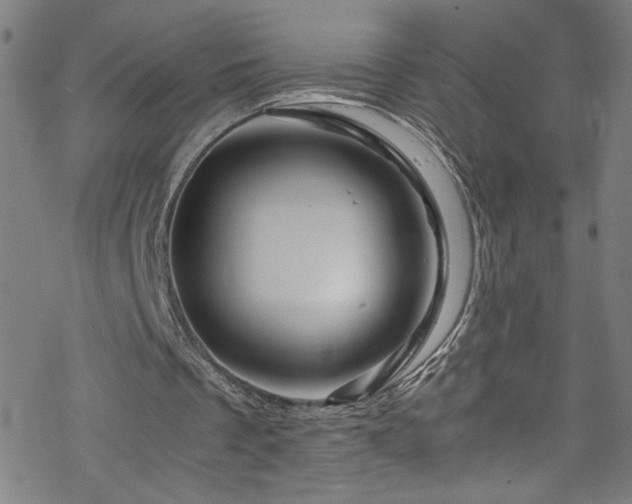 X0000070190289200606021104