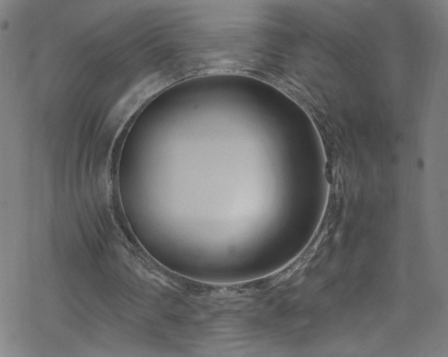 X0000070190290200606021104