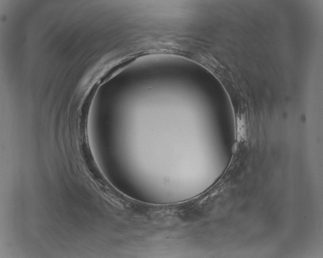 X0000070190291200606021104