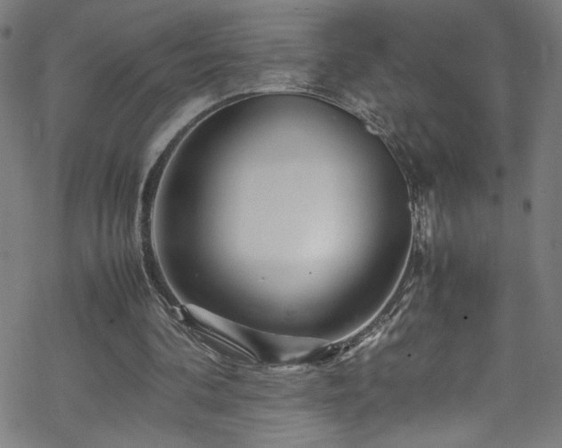 X0000070190292200606021104