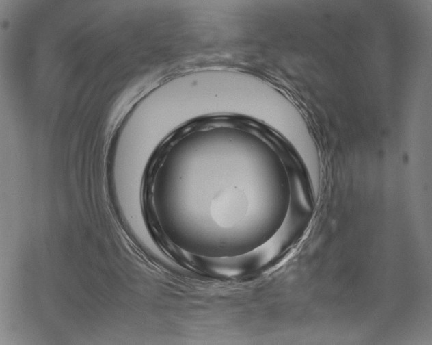 X0000070190293200606021104