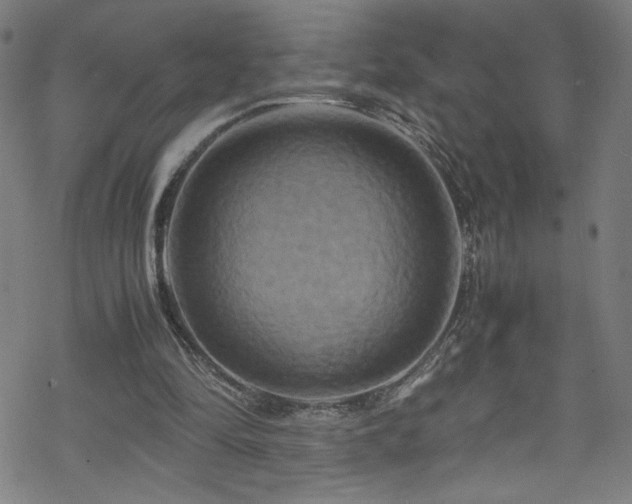 X0000070190294200606021104