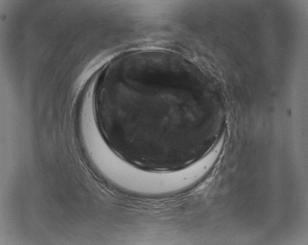 X0000070190295200606021104