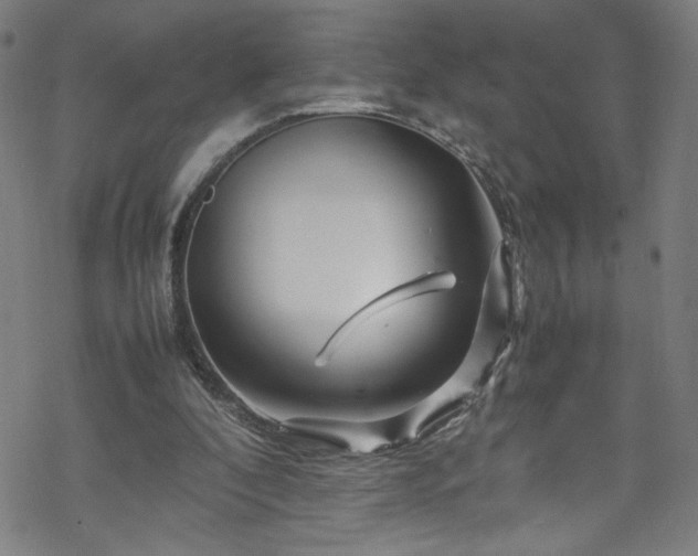 X0000070190296200606021104