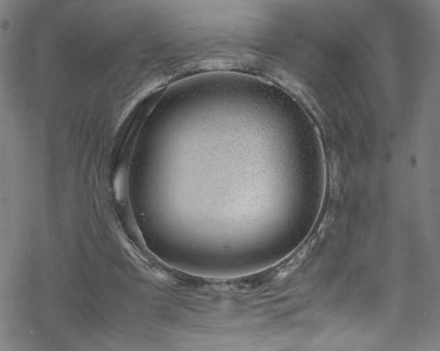 X0000070190297200606021104