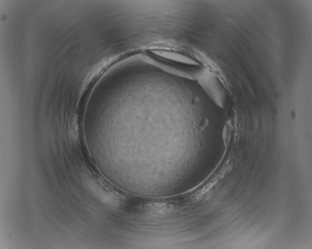 X0000070190298200606021104