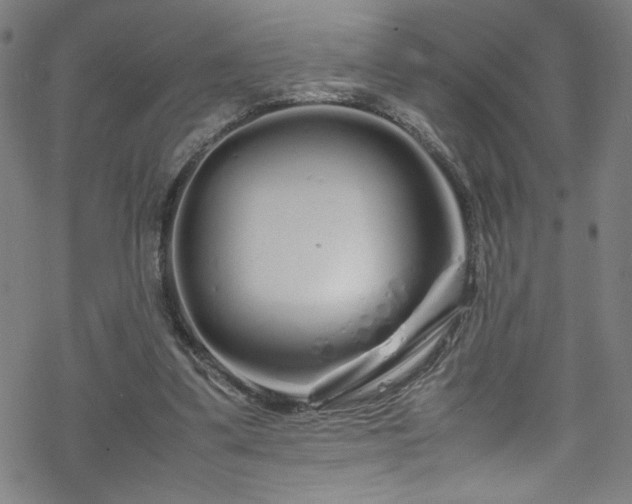 X0000070190299200606021104