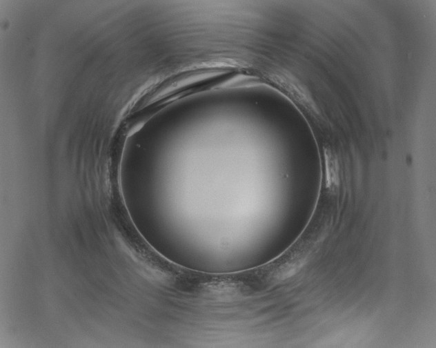 X0000070190300200606021104