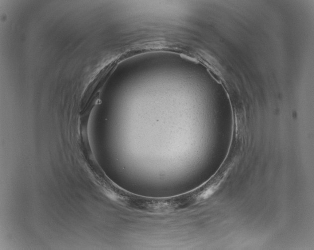 X0000070190301200606021104