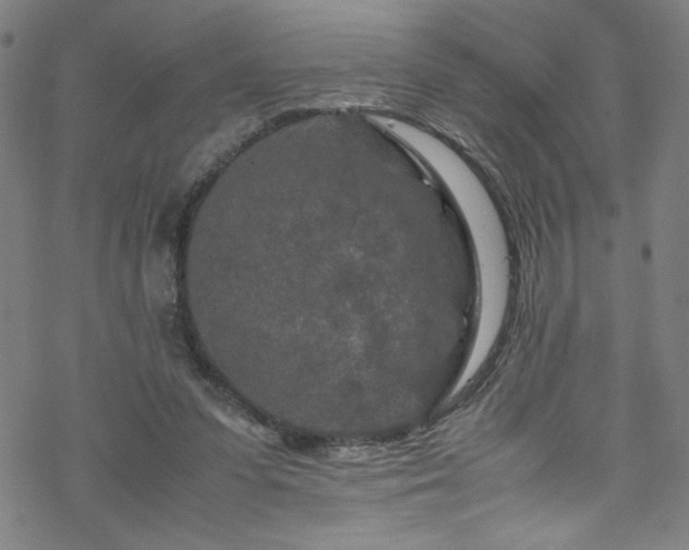 X0000070190303200606021104