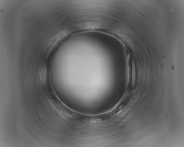 X0000070190304200606021104