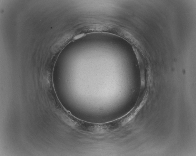 X0000070190305200606021104