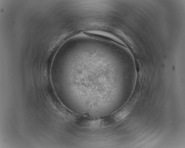 X0000070190306200606021104