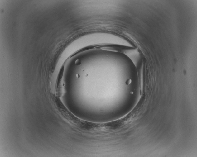 X0000070190307200606021104