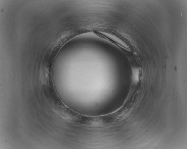 X0000070190308200606021104