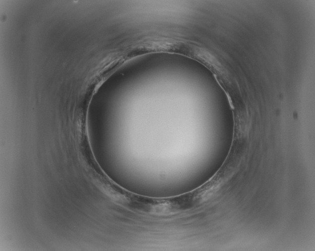 X0000070190309200606021104