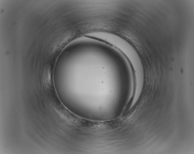 X0000070190310200606021104