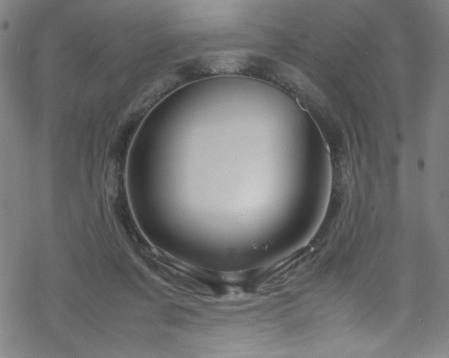 X0000070190311200606021104