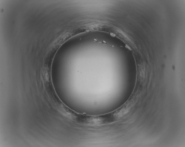 X0000070190313200606021104