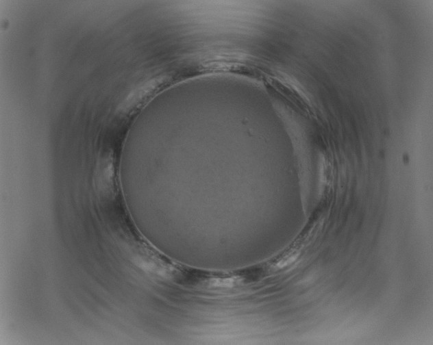 X0000070190314200606021104