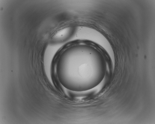 X0000070190315200606021104