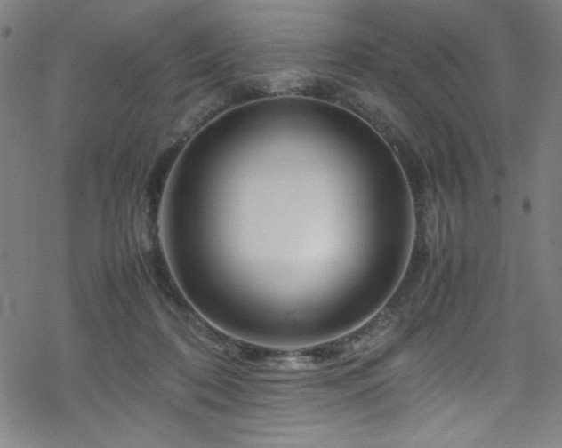 X0000070190316200606021104